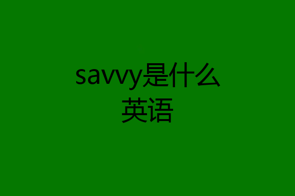 savvy是什么英语