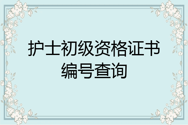 护士初级资格证书编号查询