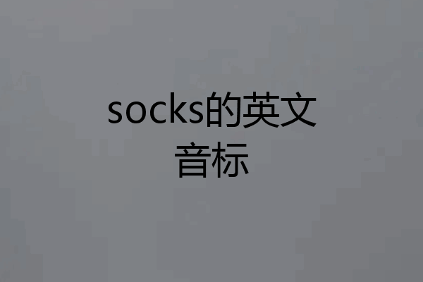 socks的英文音标