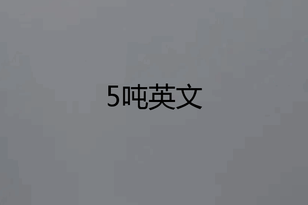 5吨英文