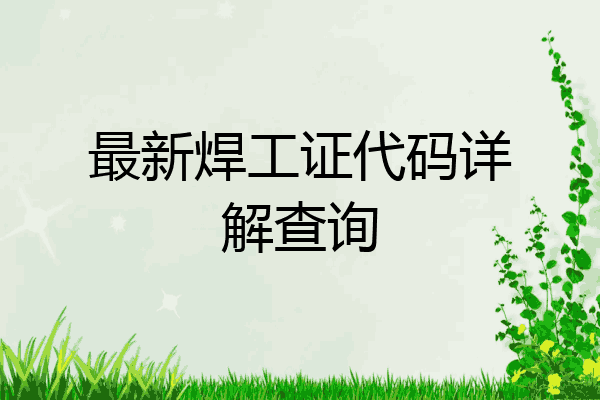最新焊工证代码详解查询