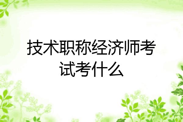 技术职称经济师考试考什么
