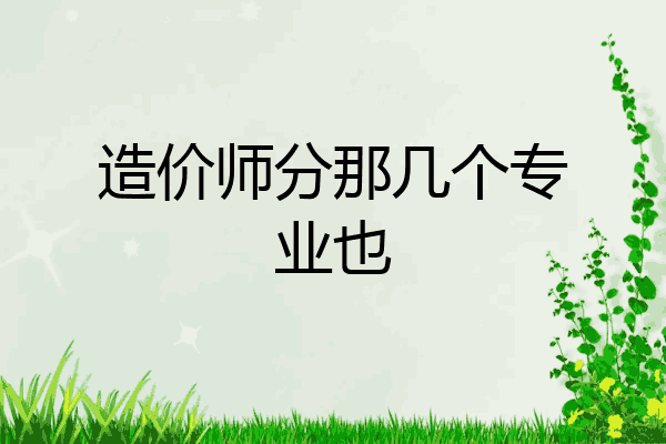 造价师分那几个专业也