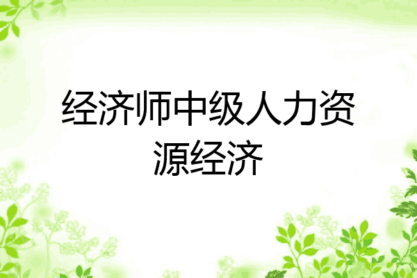 经济师中级人力资源经济