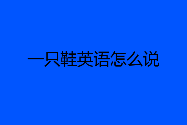 一只鞋英语怎么说