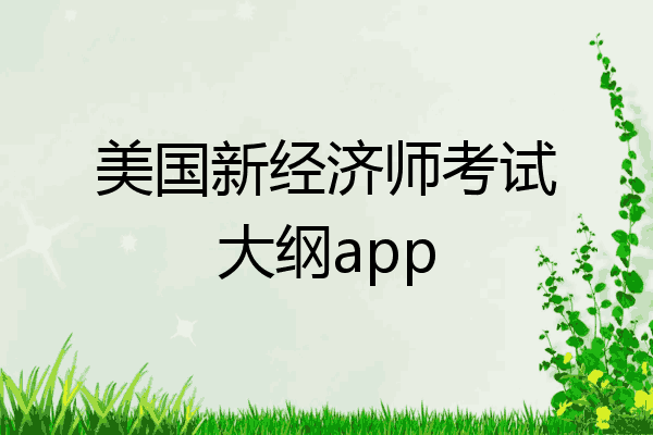 美国新经济师考试大纲app