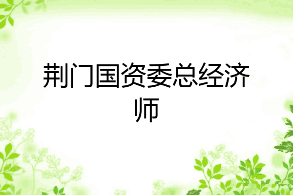 荆门国资委总经济师