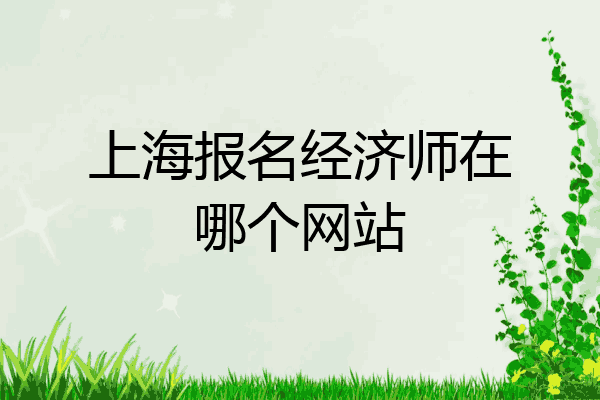 上海报名经济师在哪个网站