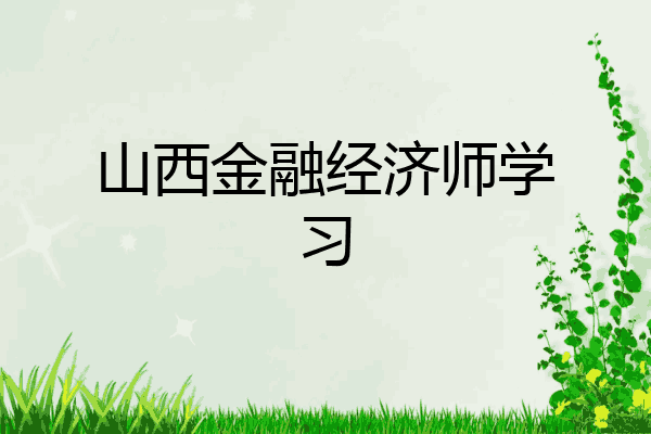山西金融经济师学习