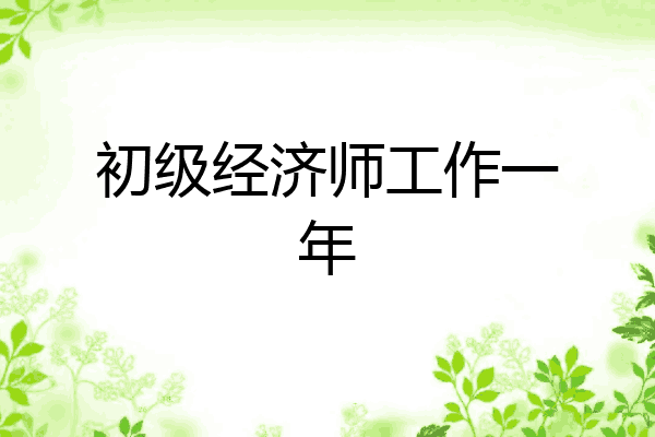 初级经济师工作一年