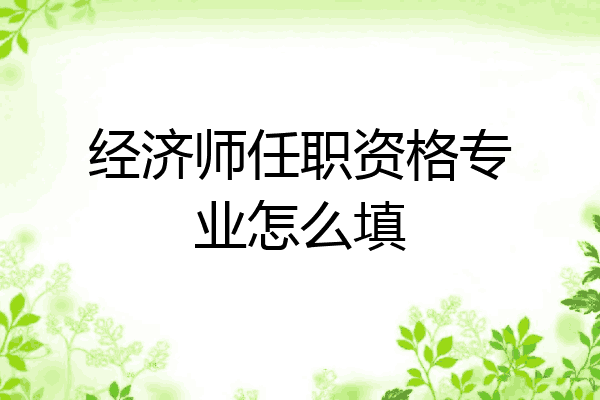 经济师任职资格专业怎么填