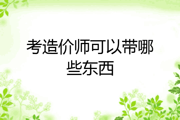 考造价师可以带哪些东西