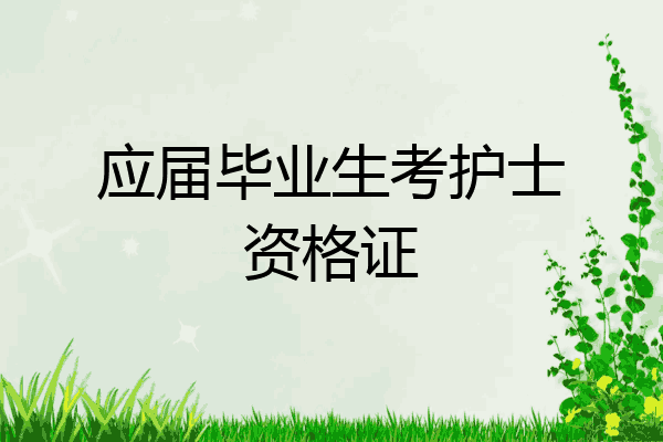 应届毕业生考护士资格证