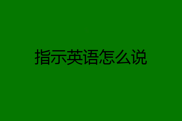 指示英语怎么说
