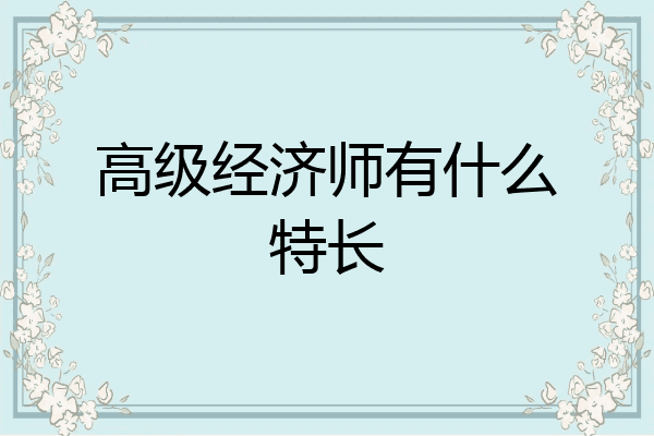 高级经济师有什么特长