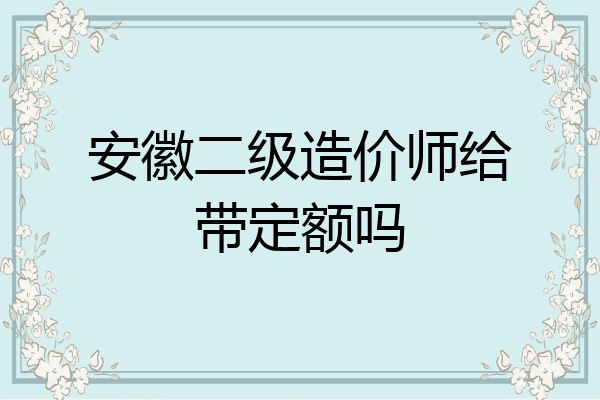 安徽二级造价师给带定额吗