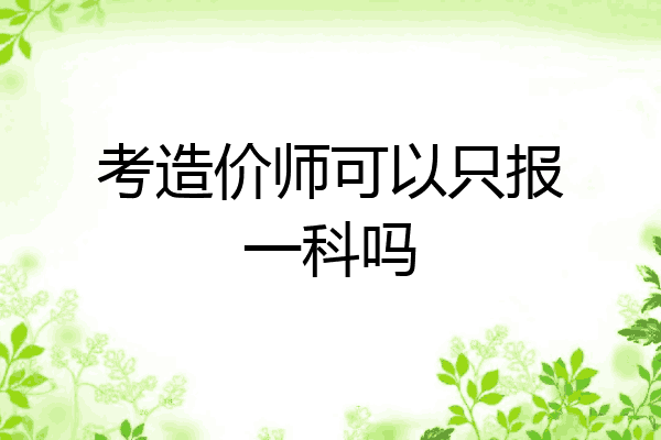 考造价师可以只报一科吗