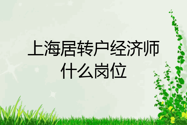 上海居转户经济师什么岗位