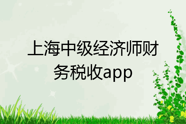 上海中级经济师财务税收app