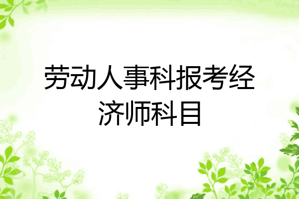 劳动人事科报考经济师科目