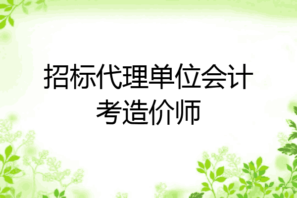 招标代理单位会计考造价师