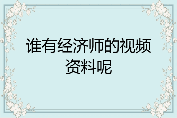 谁有经济师的视频资料呢