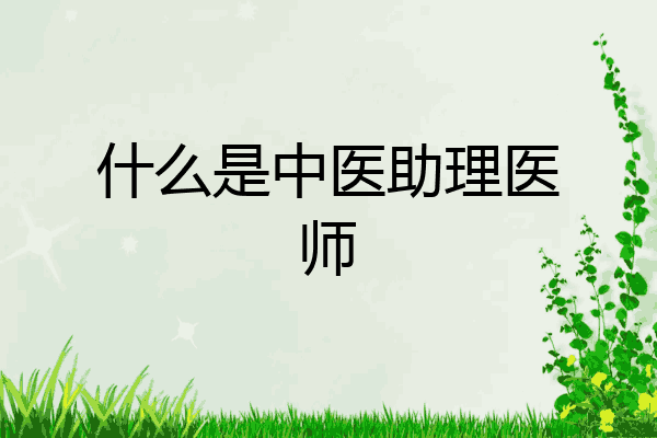 什么是中医助理医师