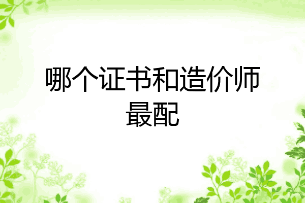 哪个证书和造价师最配