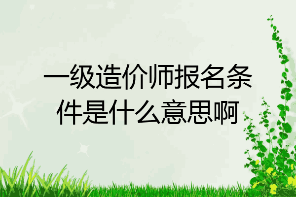 一级造价师报名条件是什么意思啊