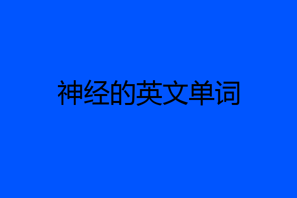 神经的英文单词