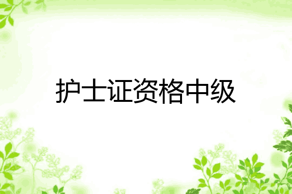 护士证资格中级