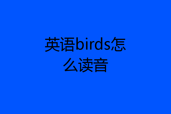 英语birds怎么读音