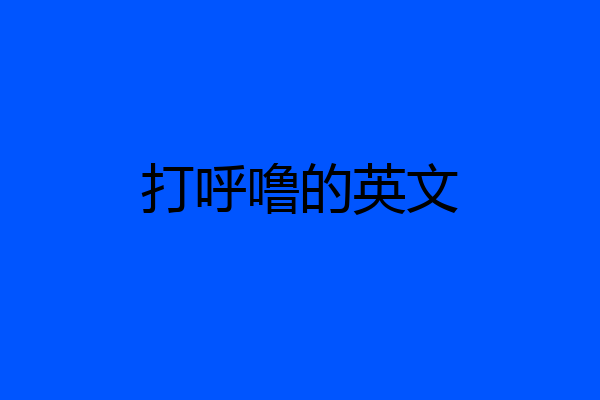 打呼噜的英文