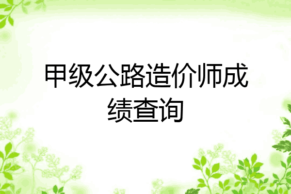 甲级公路造价师成绩查询