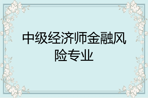 中级经济师金融风险专业