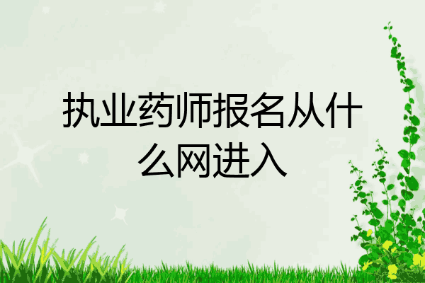 执业药师报名从什么网进入