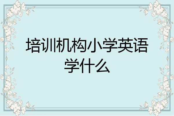 培训机构小学英语学什么