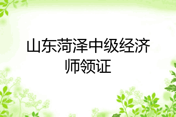 山东菏泽中级经济师领证