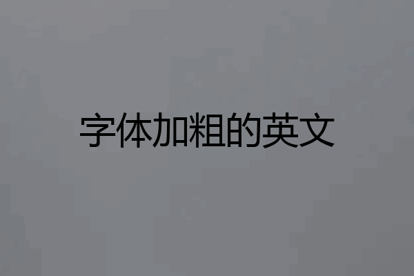 字体加粗的英文