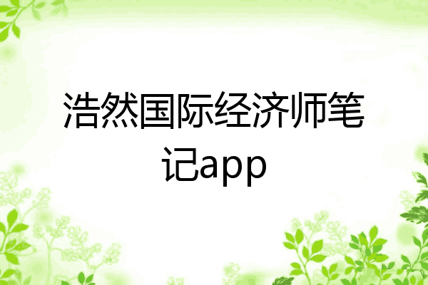 浩然国际经济师笔记app