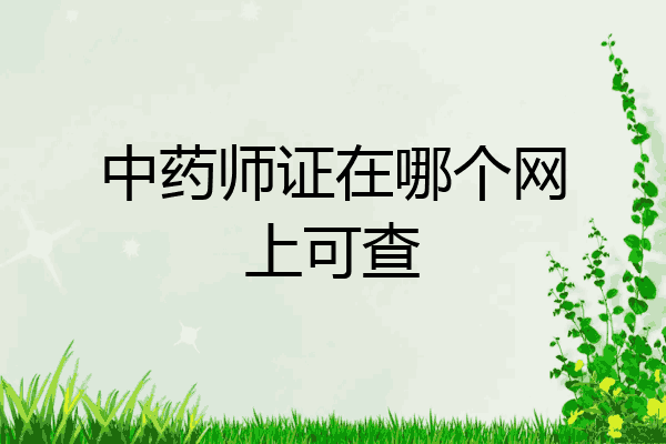 中药师证在哪个网上可查