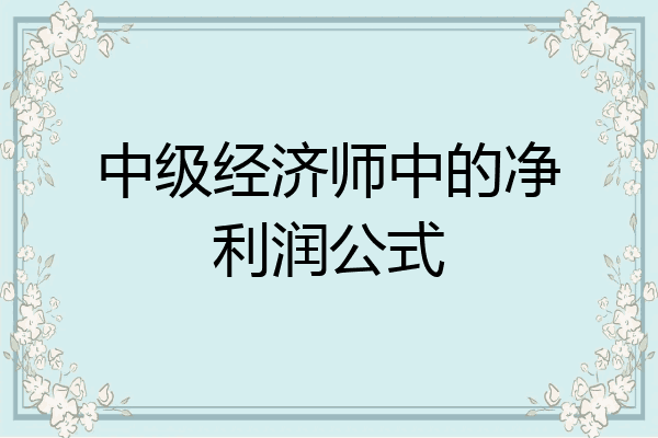 中级经济师中的净利润公式