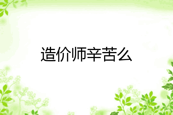 造价师辛苦么