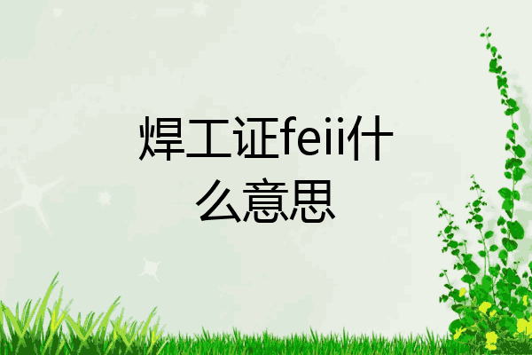 焊工证feii什么意思