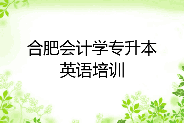 合肥会计学专升本英语培训