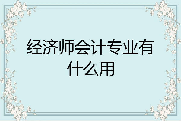 经济师会计专业有什么用