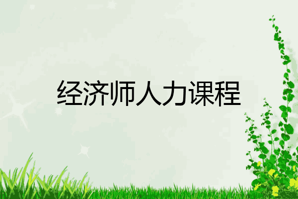 经济师人力课程