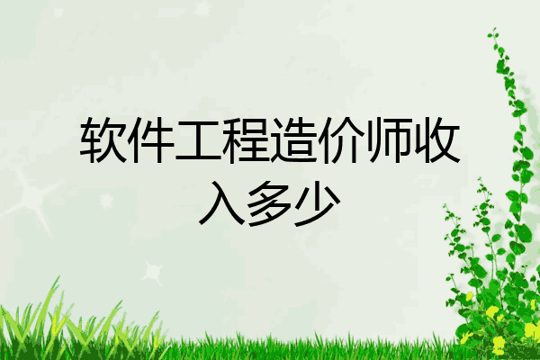 软件工程造价师收入多少
