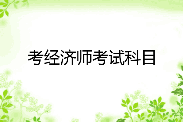 考经济师考试科目