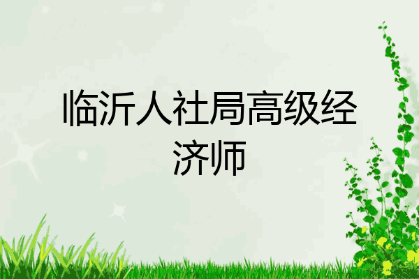 临沂人社局高级经济师